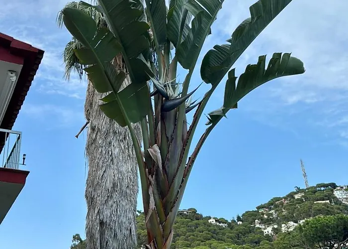 Hébergement de vacances Casa Con Vistas Al Mar Y Piscina Privada Lloret de Mar