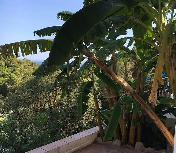 Casa Con Vistas Al Mar Y Piscina Privada Hébergement de vacances Lloret de Mar